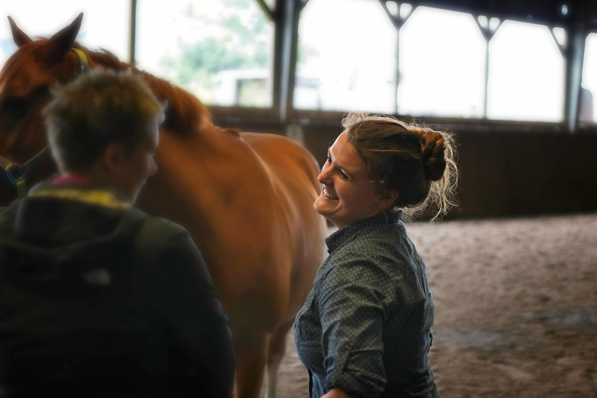 Beratung Chiropraktik Franziska Lange Tierarzt Mecklenburg-Vorpommern SH